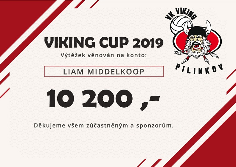 Viking pomáhá Viking pomáhá